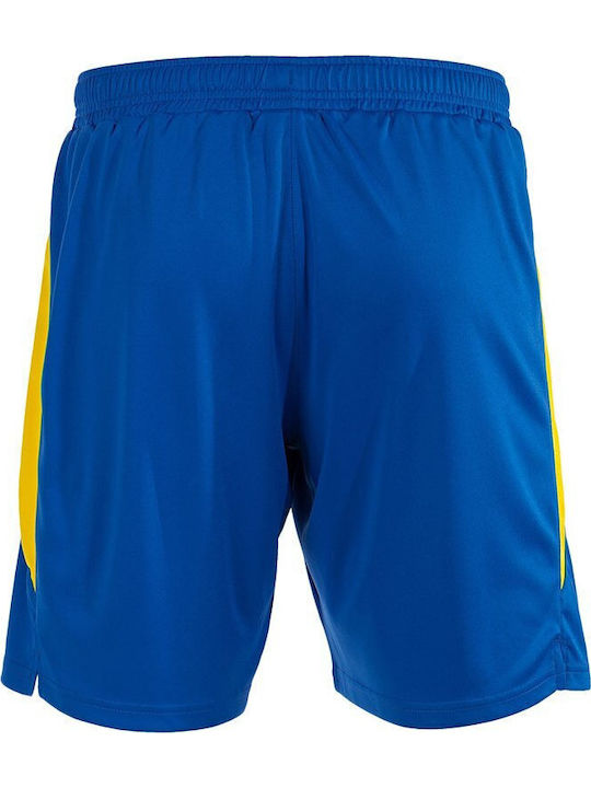 Sport Herren Shorts Blau