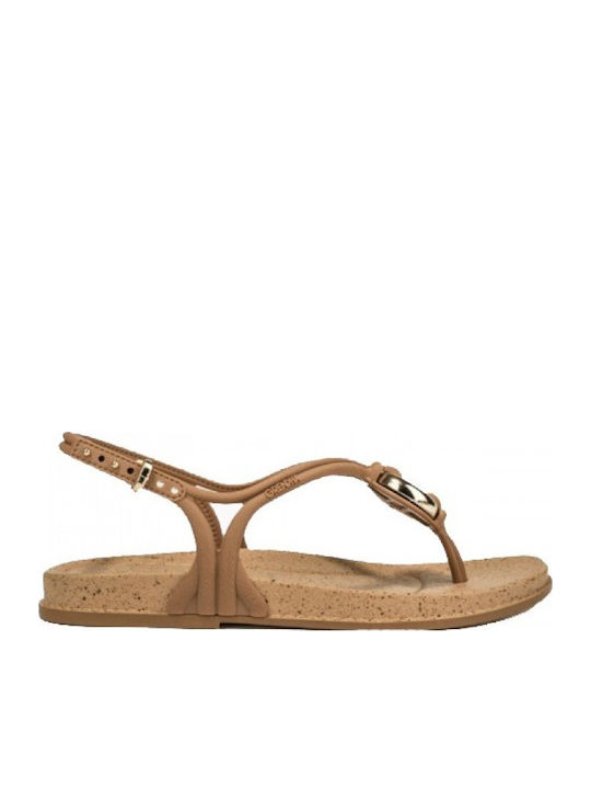 Women's Anatomic Tabac Brown Sandals