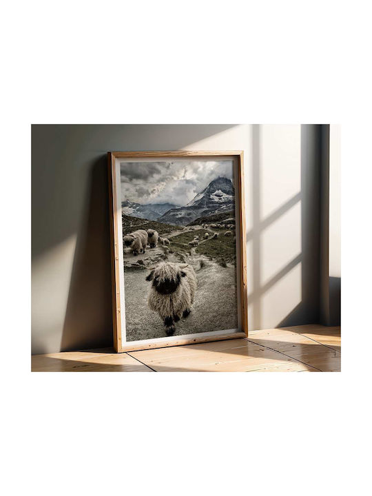 Poster Sheep Pst25129 40cm X 50cm Premium Black Wooden Frame