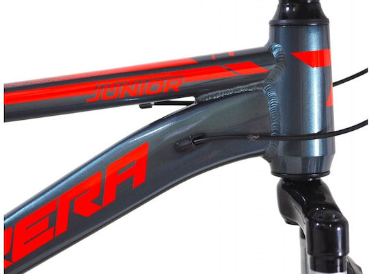 Carrera 20" Παιδικό Ποδήλατo Πόλης με Σκελετό Αλουμινίου (2026) Γκρι