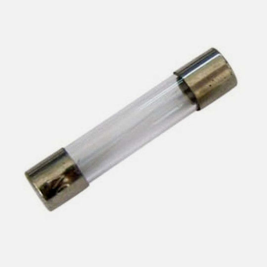 Бързостопяем стъклен предпазител 6x30mm S1019 8A пакет от 10