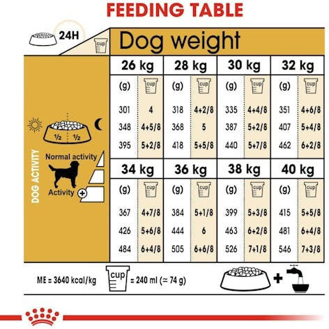 Royal Canin Labrador 12kg Ξηρά Τροφή για Ενήλικους Σκύλους