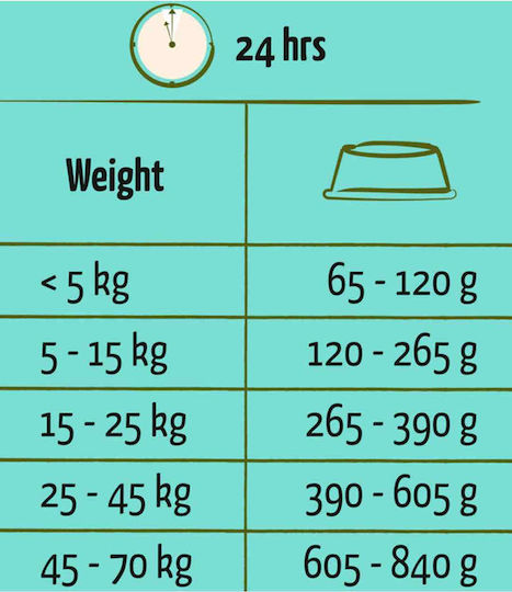 Happy Life 12.5kg Trockenfutter für erwachsene Hunde mit Lachs und Reis