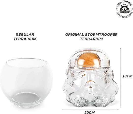 Decorative Transparent Glass Vase