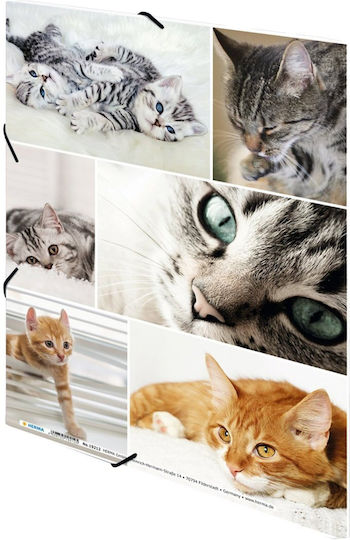 Herma A4 Katzen Themen Klemmbrett – Pappe – Elastische Riemen – 3 Klappen