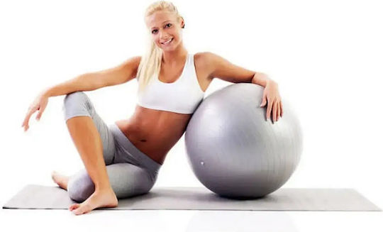 14172 Μπάλα Pilates 65cm σε Ασημί Χρώμα