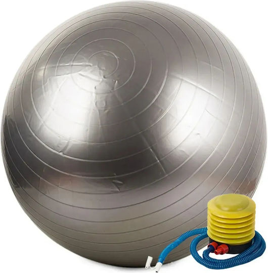 14172 Μπάλα Pilates 65cm σε Ασημί Χρώμα