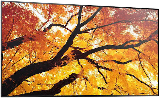 Sharp 60006053 Public Display 42.5" 4K UHD