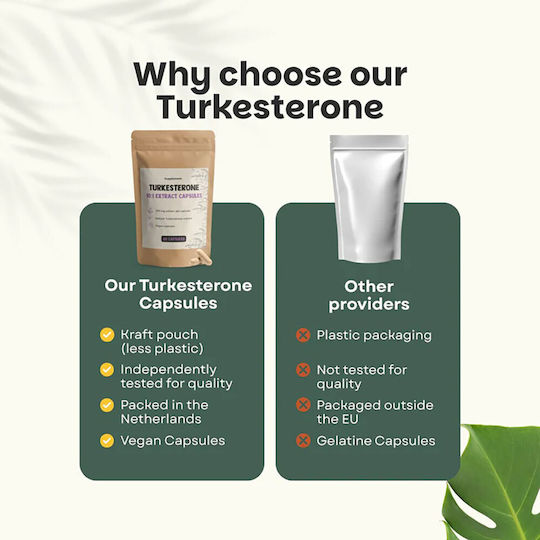 Cupplement Turkesterone Extract 500mg 60 κάψουλες