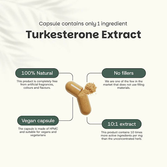 Cupplement Turkesterone Extract 500mg 60 κάψουλες