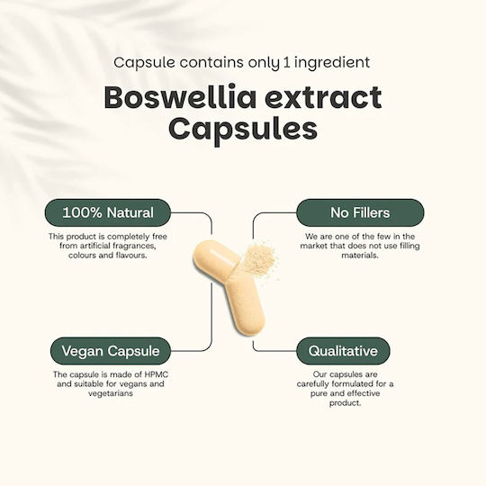 Cupplement Boswellia Extract 500mg 60 caps