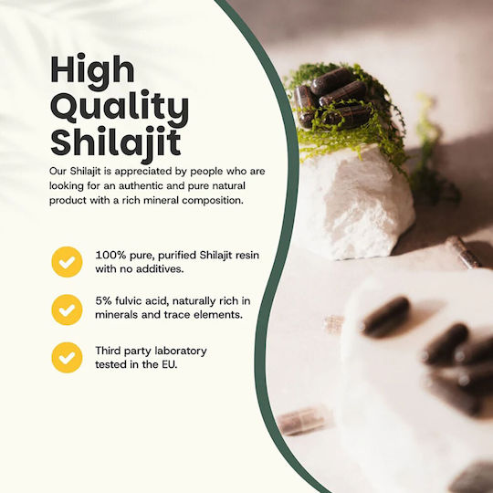 Cupplement Shilajit Extract 60 κάψουλες Natural