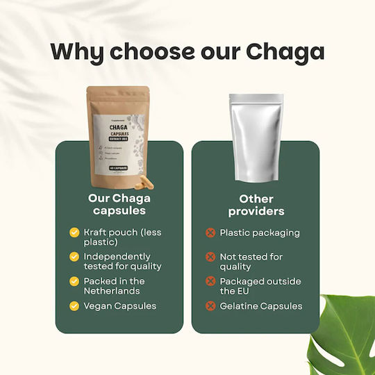 Cupplement Organic Chaga Extract 400mg 60 κάψουλες