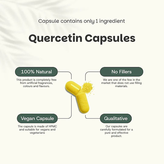 Cupplement Quercetin 500mg 60 κάψουλες