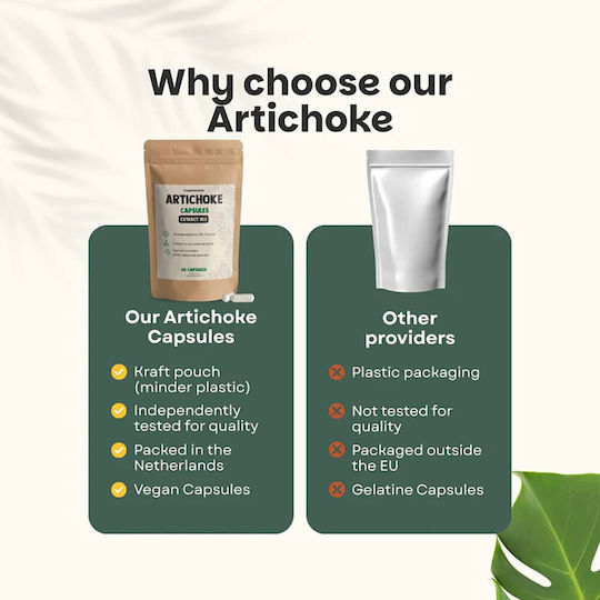 Cupplement Artichoke Extract 500mg 60 κάψουλες