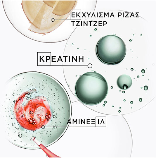 Kérastase Genesis Homme Bain De Force Quotidien Σαμπουάν κατά της Τριχόπτωσης για Λεπτά Μαλλιά 250ml
