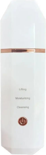 Cleansing 852516