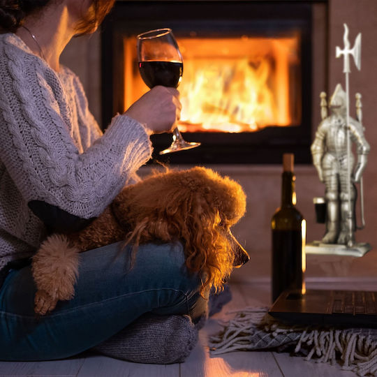 Relaxdays Set De Unelte Pentru Șeminee Cu Suport Negru