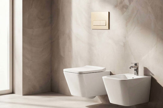Naron Flush Plate for Dual Flush Toilets BRUSHED GOLD