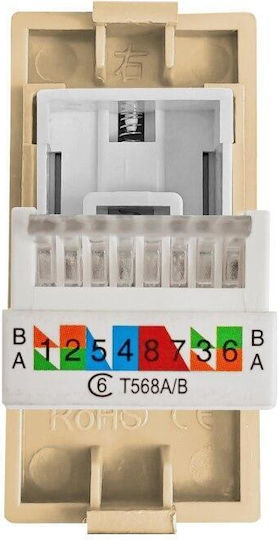 Luxion Cat6 Rj45 Internet Socket Module 1m Gold