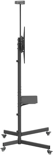 Brateck Βάση Τηλεόρασης Δαπέδου έως 70" και 45kg Μαύρο