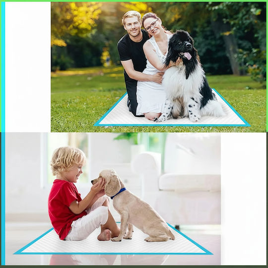 Dog Toilet 60x40cm