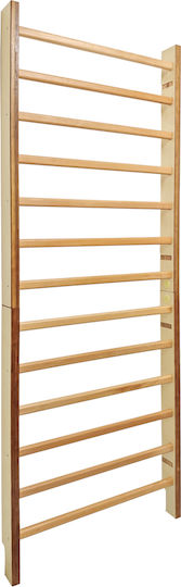 inSPORTline Wall Pull-Up Bar for User up to 130kg