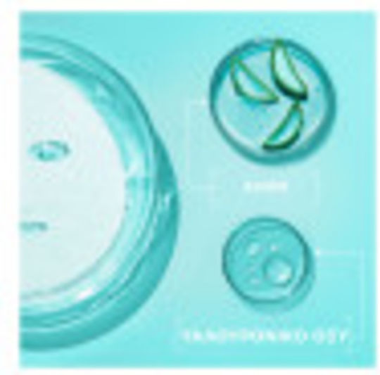 Garnier Hyaluronic Aloe Tissue Face Moisturizing Mask 28gr