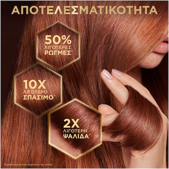 Garnier Botanic Therapy Hair Remedy Hair Mask for Repairing 340ml