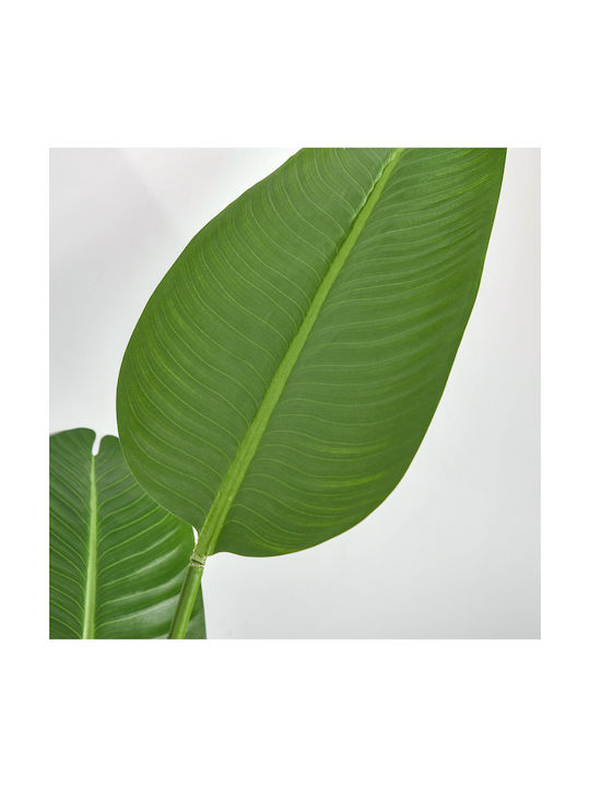 Homcom Artificial Banana Tree 160 cm Pot 10 Realistic Leaves Tropical Decorative Plant Indoor Outdoor Green 830-442