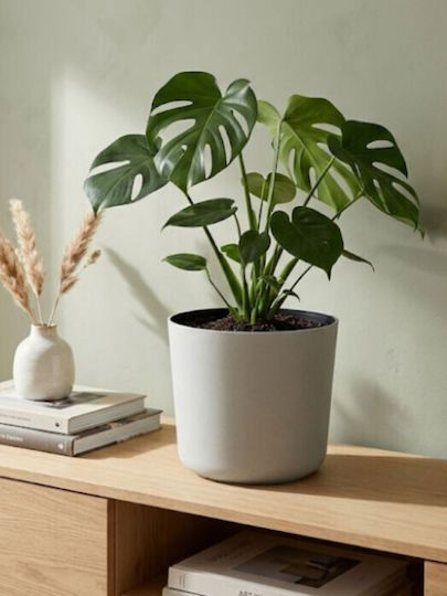 Harmony Alonissos Flower Pot White 22x22x20cm