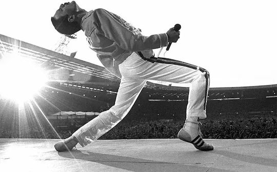 Music Poster Freddie Mercury Ms051 40cm X 50cm Premium Μαύρο Ξύλινο Κάδρο