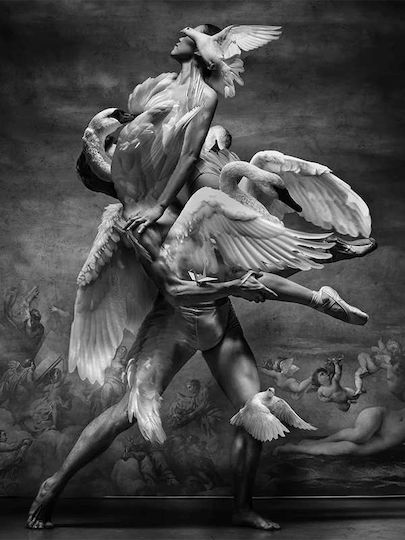 Poster Swan Dance Pst117a 40cm X 50cm Premium Μαύρο Ξύλινο Κάδρο