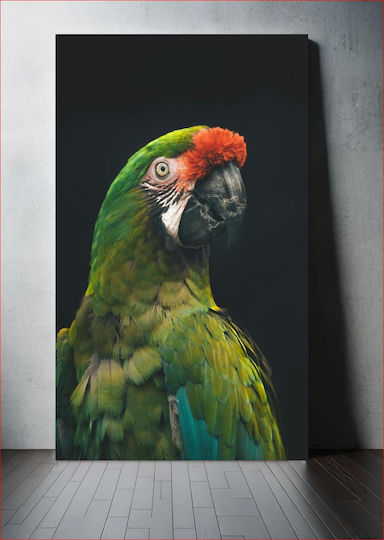 Πίνακας Colorful Parrot Πολύχρωμος Παπαγάλος 70x100 Πίνακας Colorful Parrot Πολύχρωμος Παπαγάλος 70x100