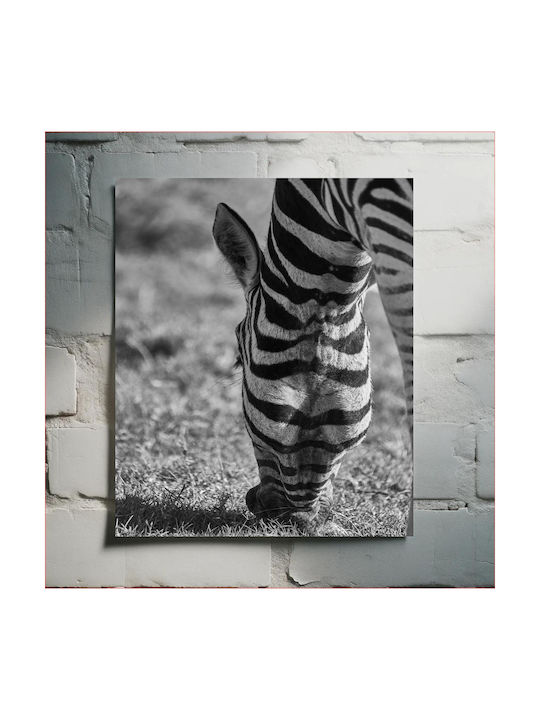 Панел Grazing Zebra В Черно И Бяло Зебра На Паша 100x150