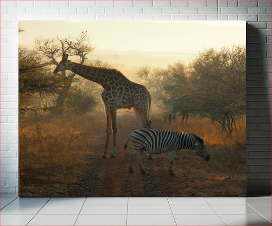 Giraffe And Zebra In African Landscape Καμηλοπάρδαλη Και Ζέβρα Σε Αφρικανικό Τοπίο 1
