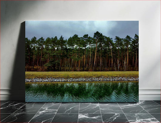 Forest Reflections Δασικές Αντανακλάσεις 1