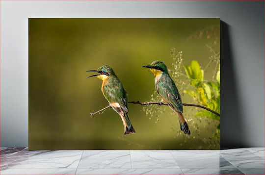 Two Colorful Birds On A Branch Δύο Πολύχρωμα Πουλιά Σε Ένα Κλαδί 1