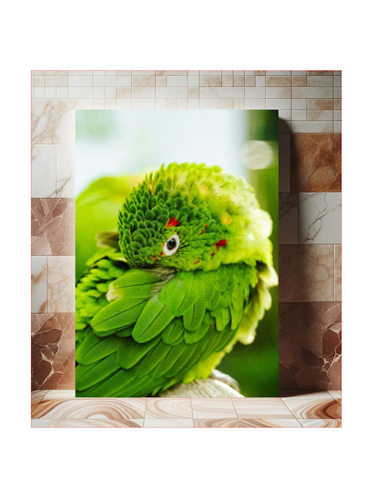 Panou Colorat Papagal Prim-Plan Multicolor 80x120