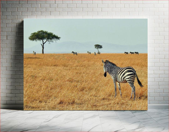 Zebras In The Savanna Ζέβρες Στη Σαβάνα Zebras In The Savanna Ζέβρες Στη Σαβάνα