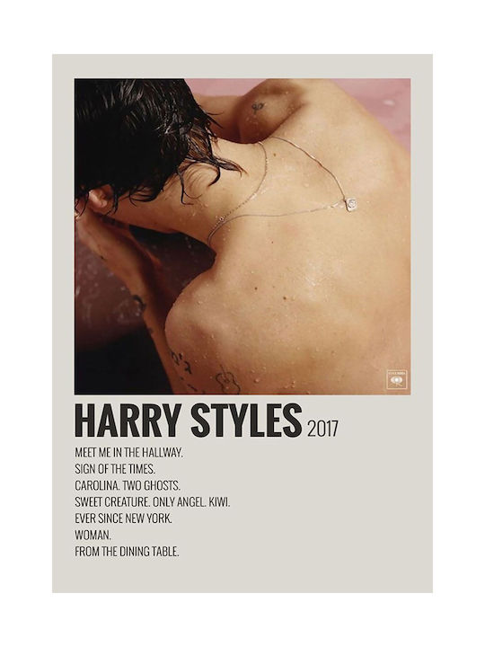 Music Poster Harry Styles Ms655 40cm X 50cm Λευκή Ξύλινη Κορνίζα
