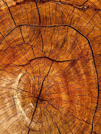 Wooden Surface P Ξύλινο