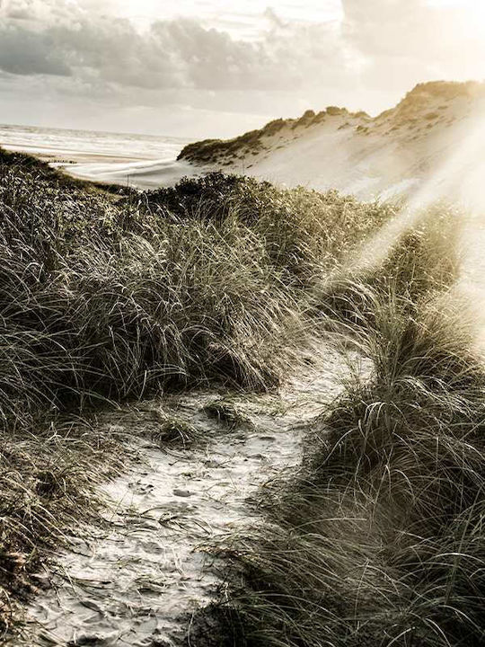 Poster Seaside Pst25117 40cm X 50cm Premium Black Wooden Frame