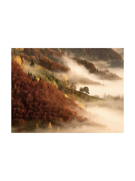 Poster Foggy Scenery Pst25124 40cm X 50cm Premium Μαύρο Ξύλινο Κάδρο