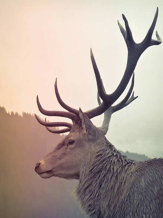 Poster Reindeer Pst25109 40cm X 50cm Premium Μαύρο Ξύλινο Κάδρο