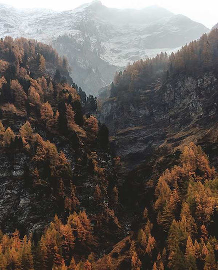 Mountain View P Ξύλινο