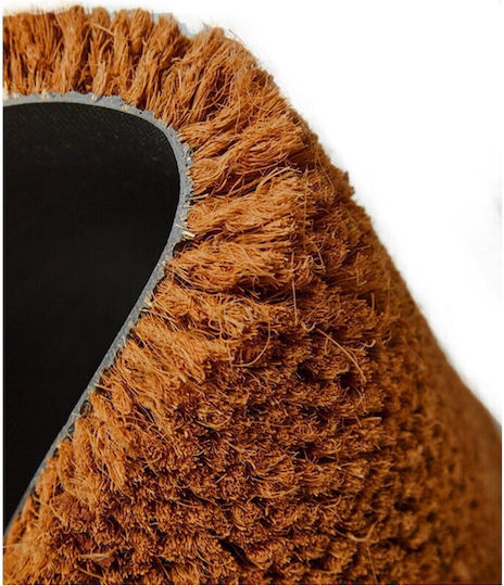 SteweHome Πατάκι Εισόδου Καφέ 60x40εκ. STE-031950-P31950 Καφέ SteweHome Πατάκι Εισόδου Καφέ 60x40εκ. STE-031950-P31950 Καφέ