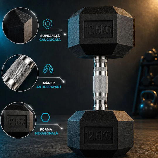 Haltere Din Furtun 1 x 12.5kg