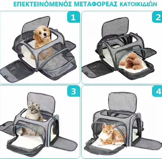 Aster Star Geantă De Mână Pentru Transport Câine / Pisică