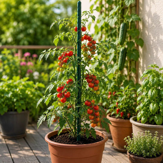 Araci Si Suporturi Plante Lungime 90 Cm Diametru 11 Mm Set 25 Bucăți